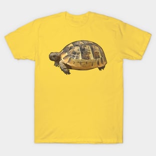 Side View of A Young Wild Tortoise Cartoon Cut Out T-Shirt